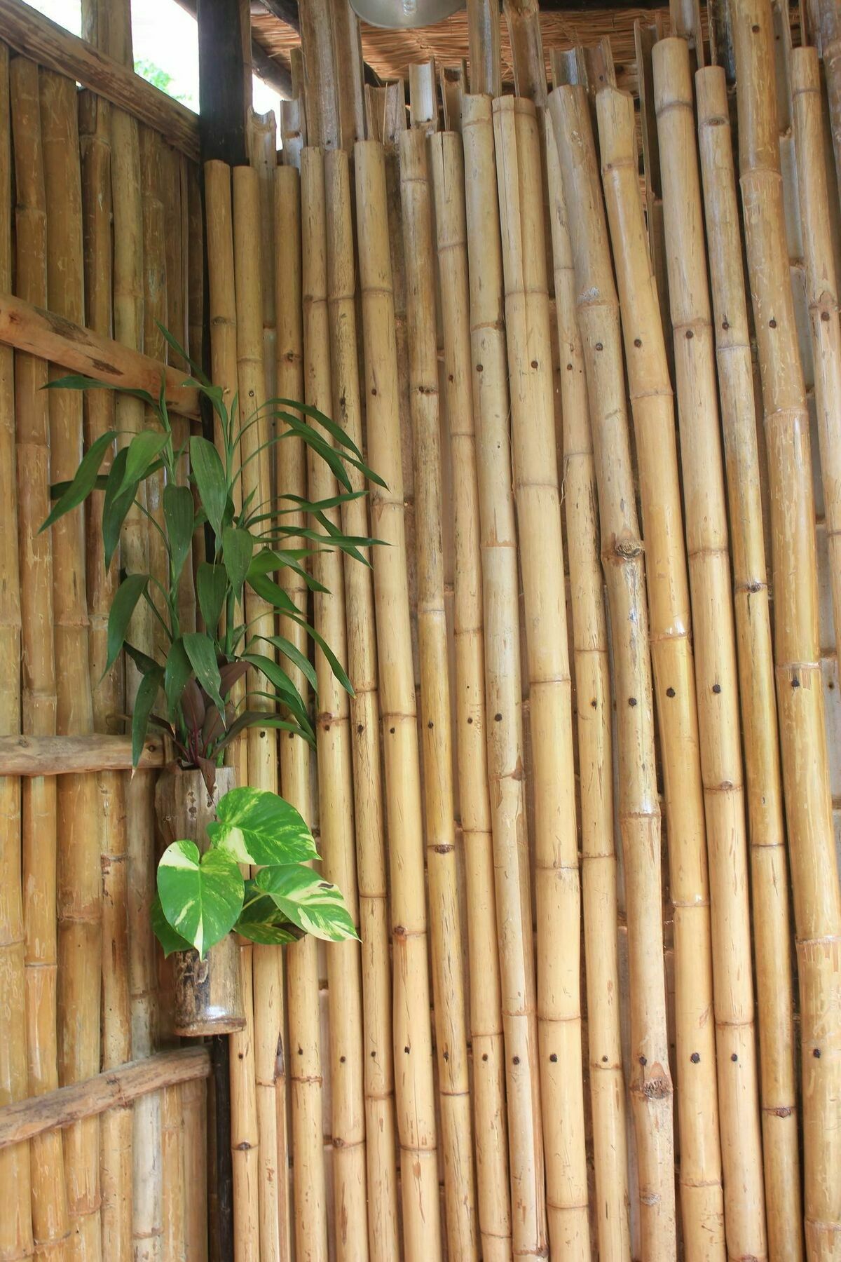 Battambang Dream Bungalows Экстерьер фото