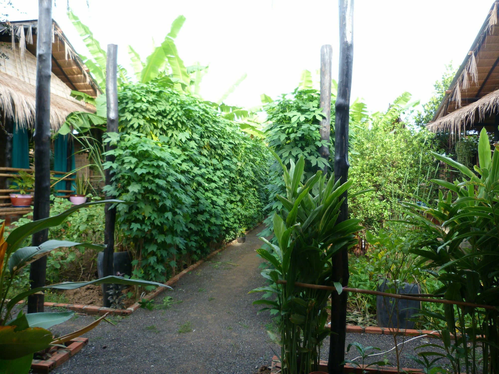 Battambang Dream Bungalows Экстерьер фото